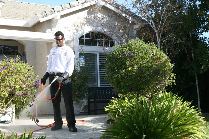 Pest control service