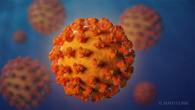 coronavirus